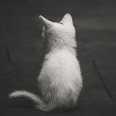 端端
