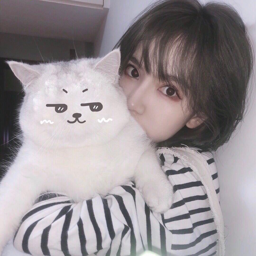猫小噜
