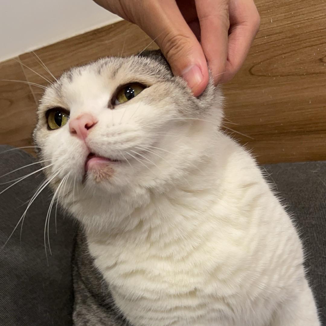 紫康hzk
