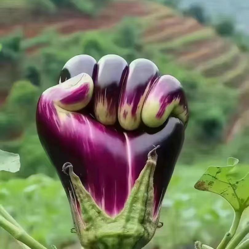 向幸福靠近🚵🏽‍♀️🚵🏽‍♀️