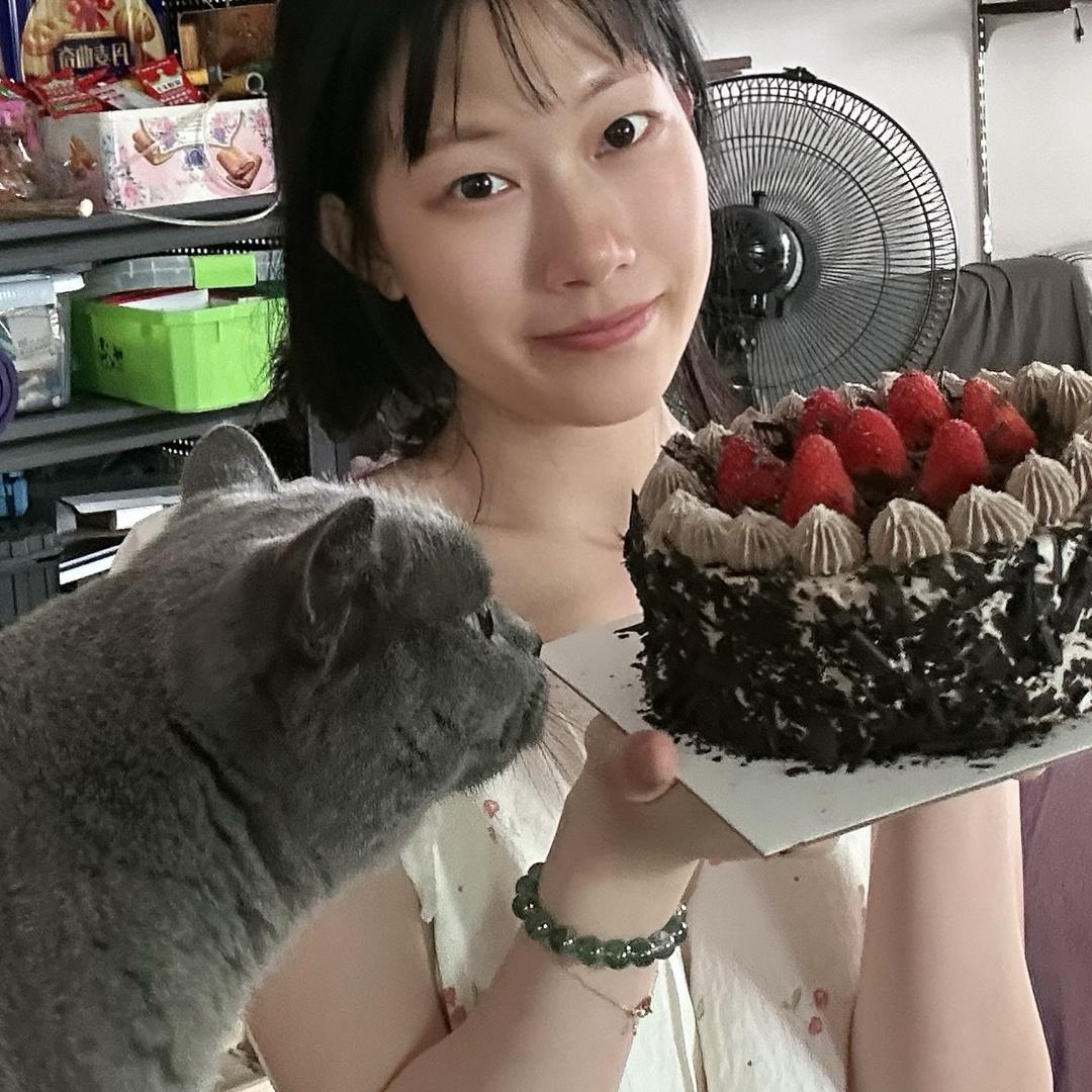 小小养猫记