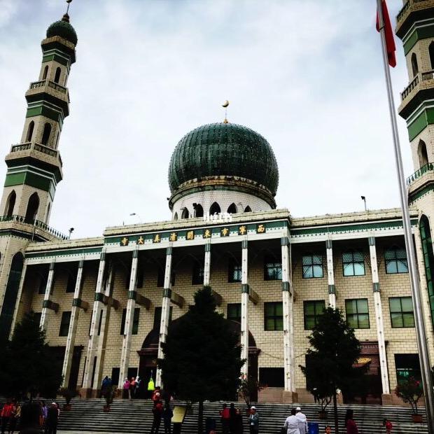 青海手工老酸奶阿伟