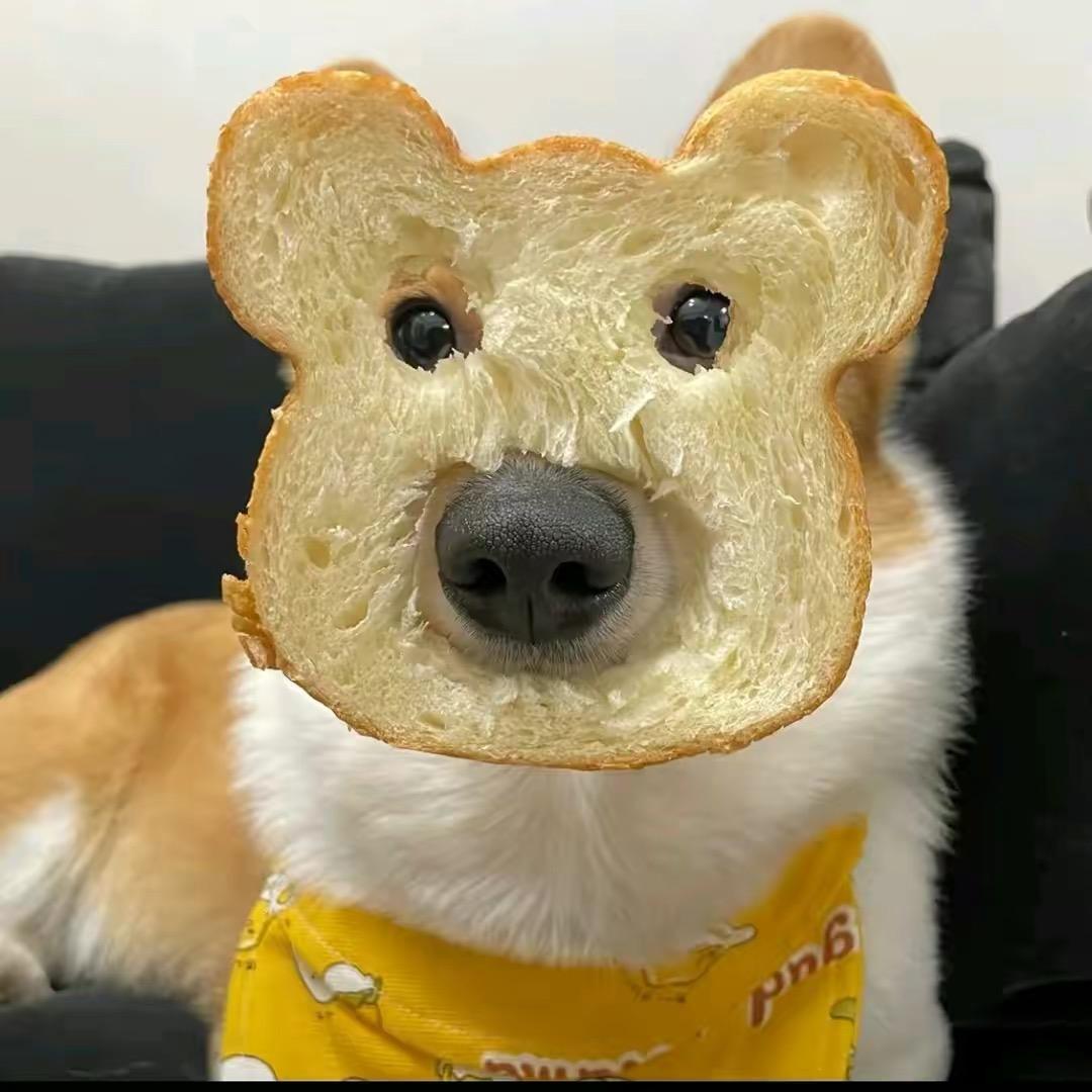 面包小狗