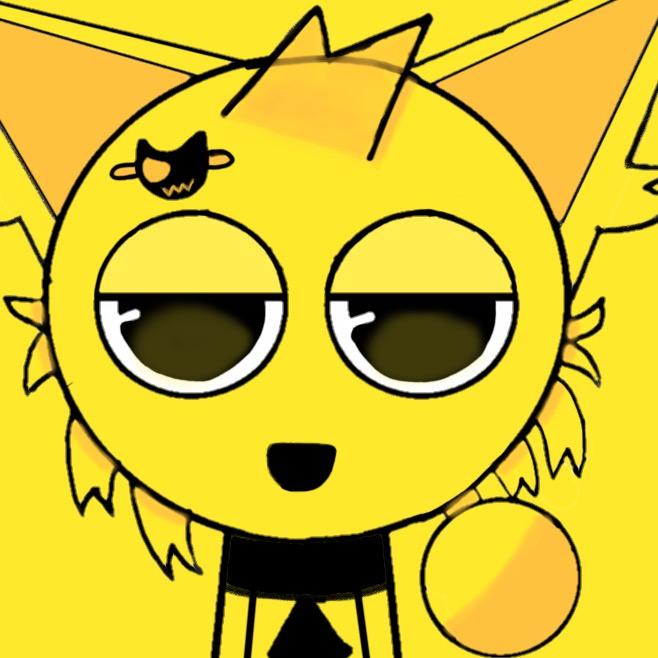 金毛✨