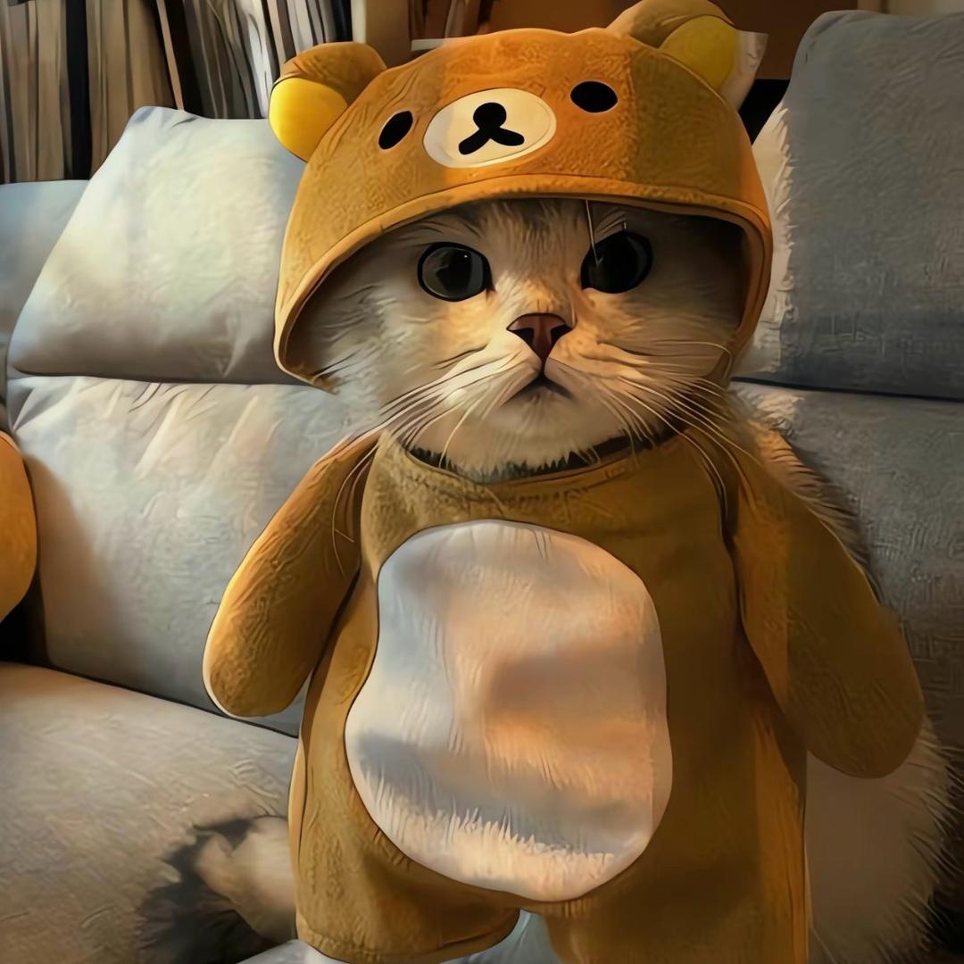 男明星.