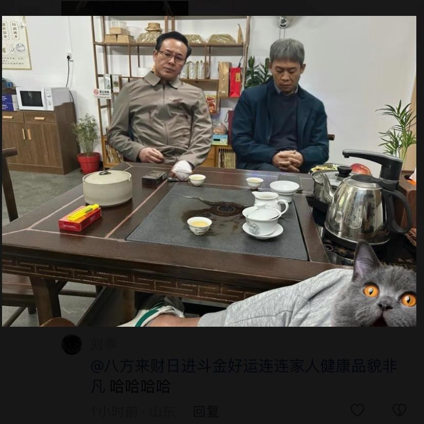 在森林迷了麓