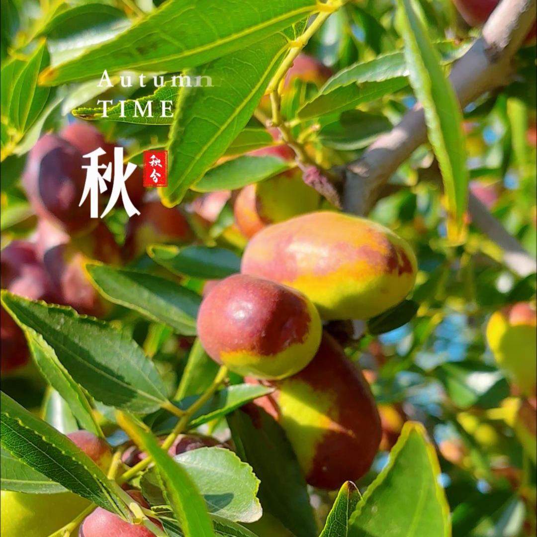 百枣小鲜生