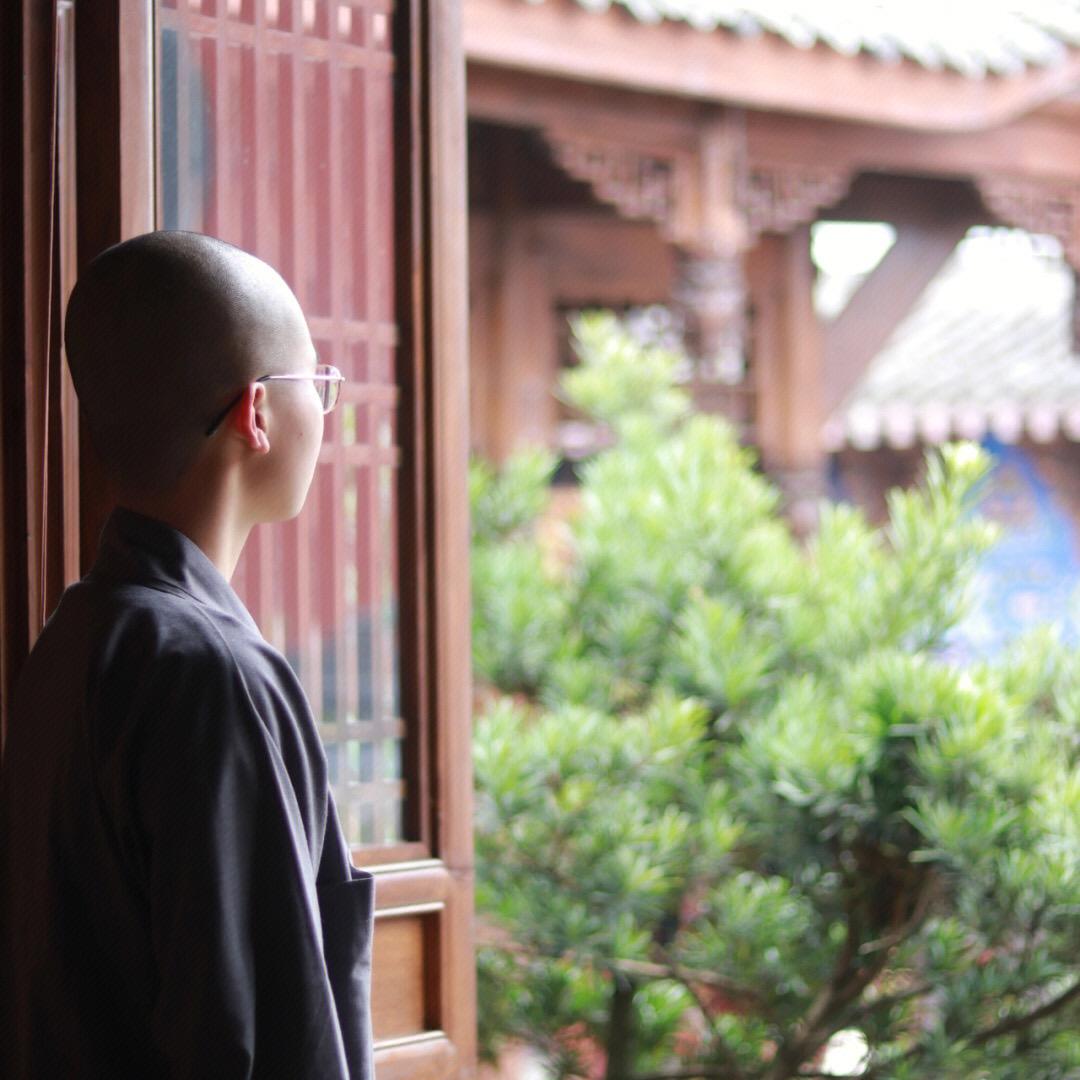 念缥缃☁️