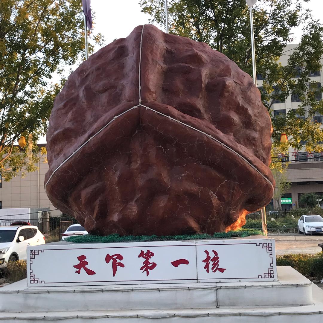 涞水核如意