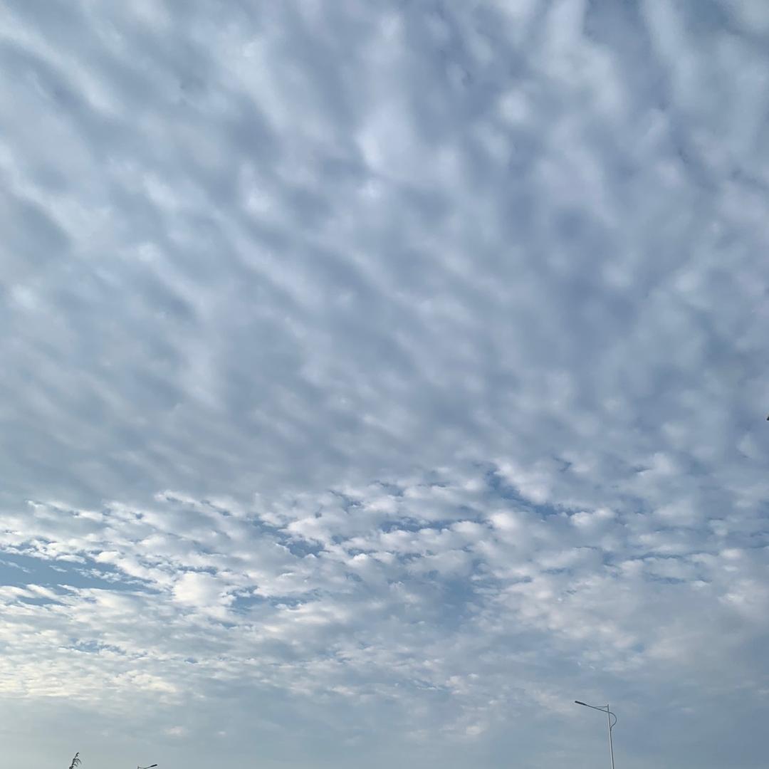 @江苏（苏C)在印尼🇮🇩