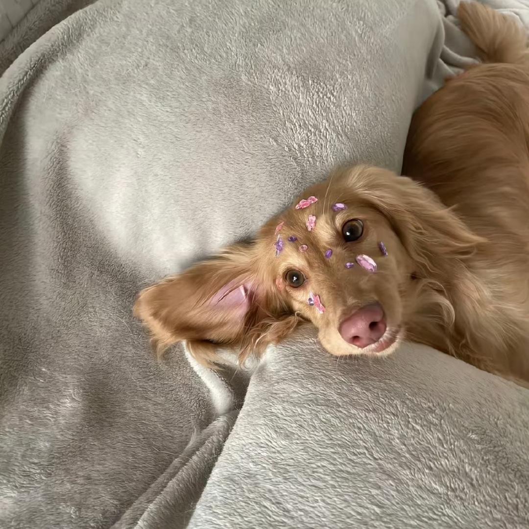 小羽转多云🌤️