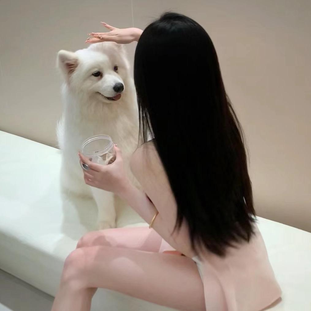 Cc🦋（十一点睡觉😪）