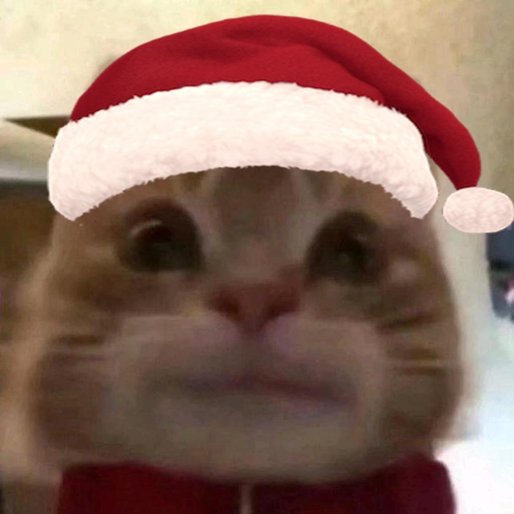 Theodore今天吃了吗