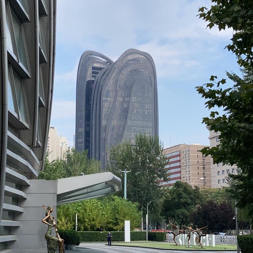 韭菜的自我修养