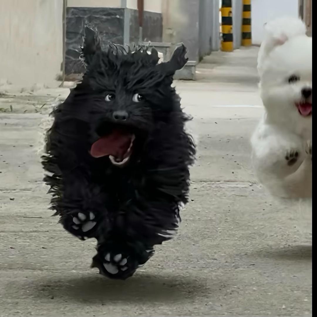 开心泡泡