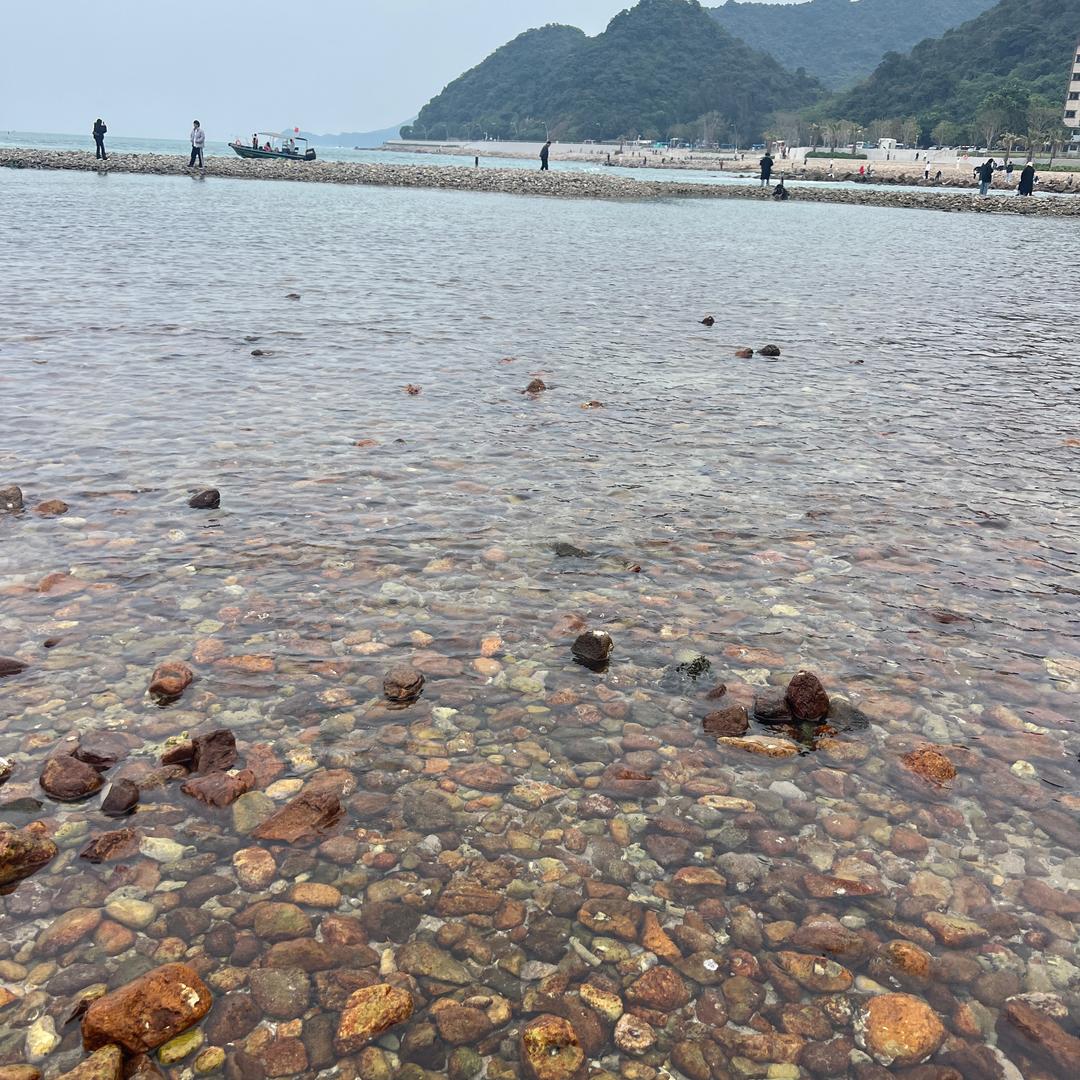 一只鱼🐟