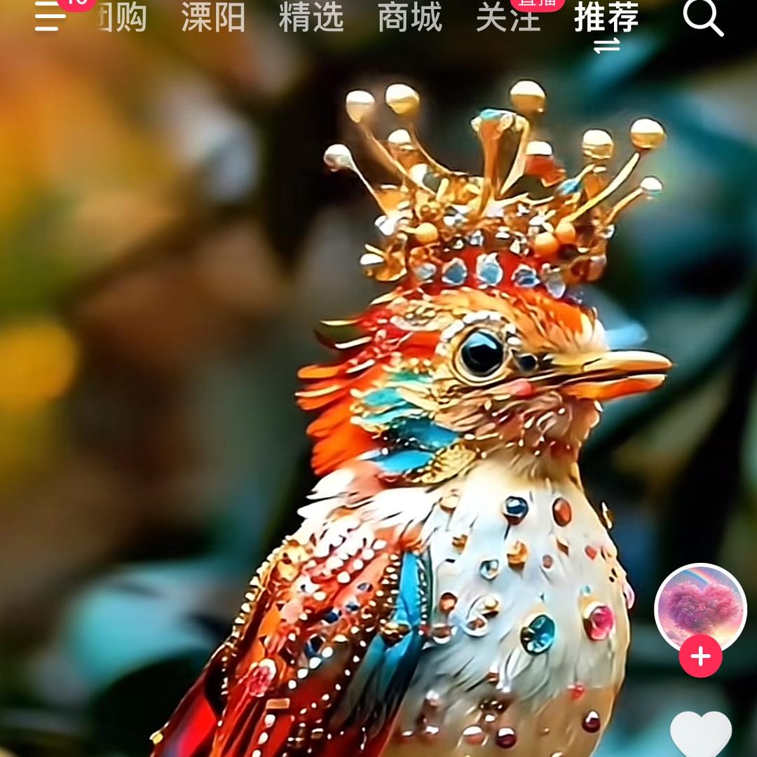 镜哥