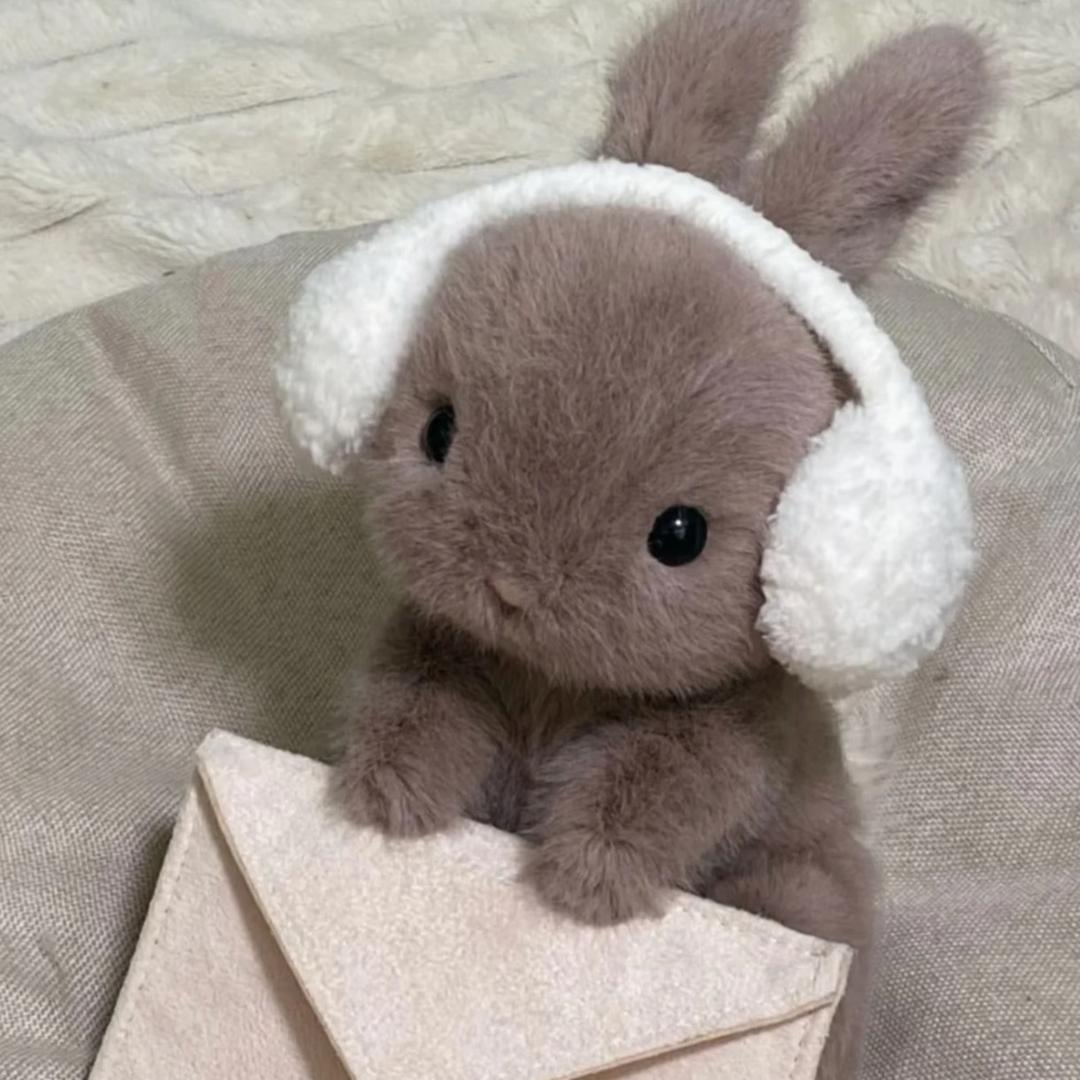 🌰