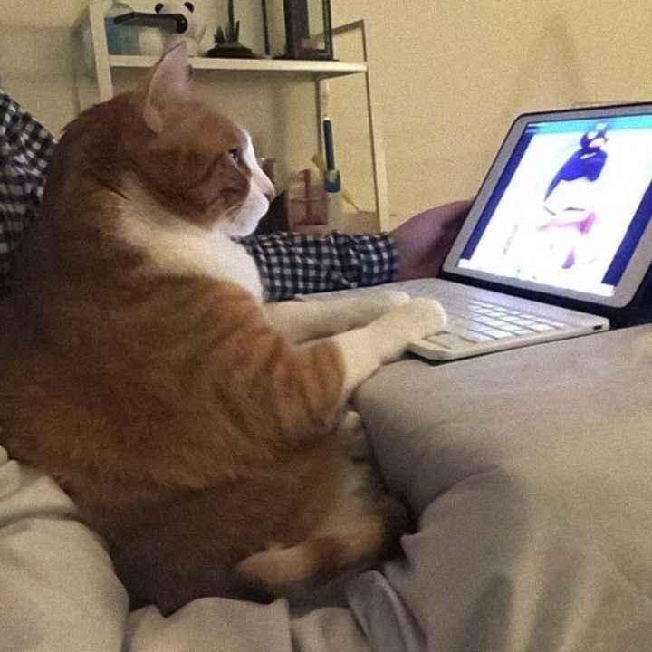 弯道快才是真的快谁直线不会给油