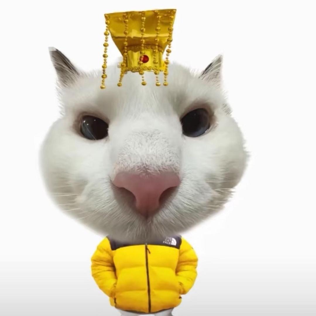 异次元de猫