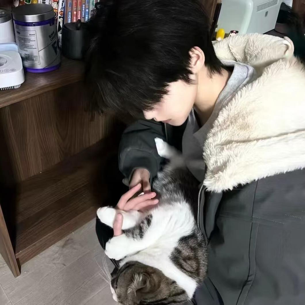 妃英理