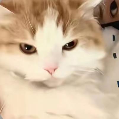 禁楹