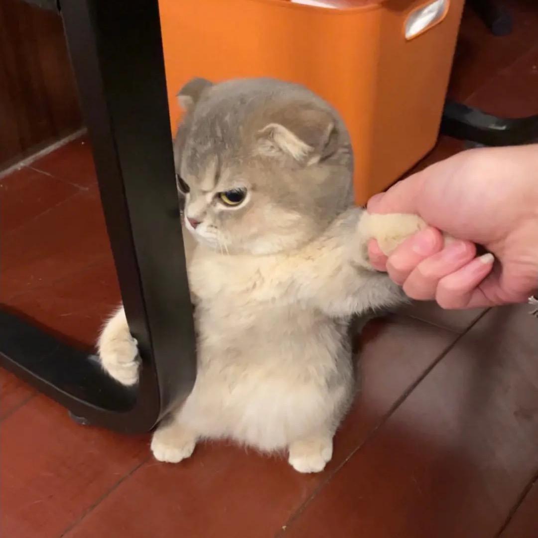闭眼睛