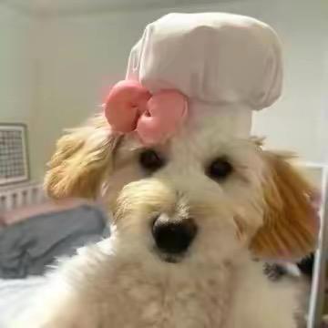 Honey雯