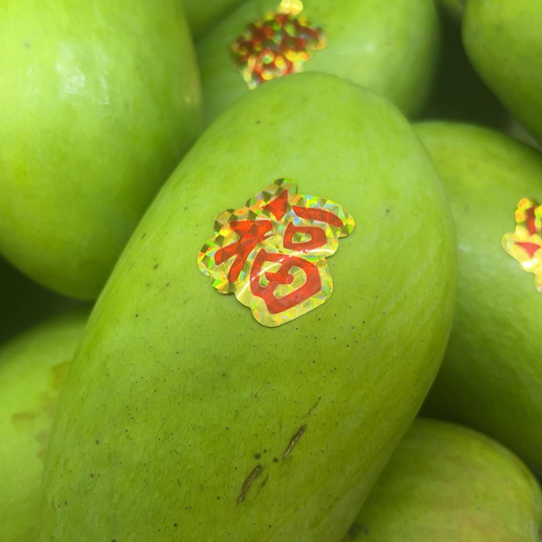 开心快乐生活🥳⛵️