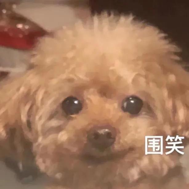 捉z