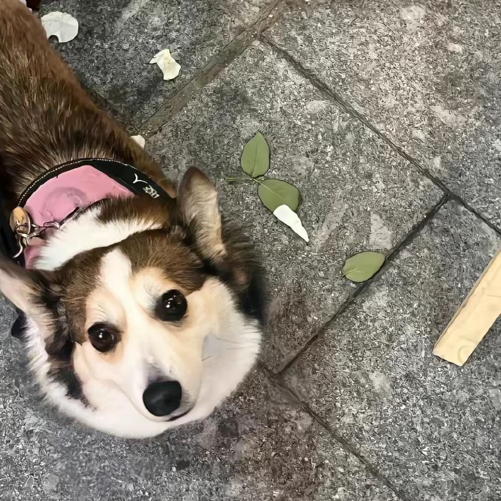 .🌸