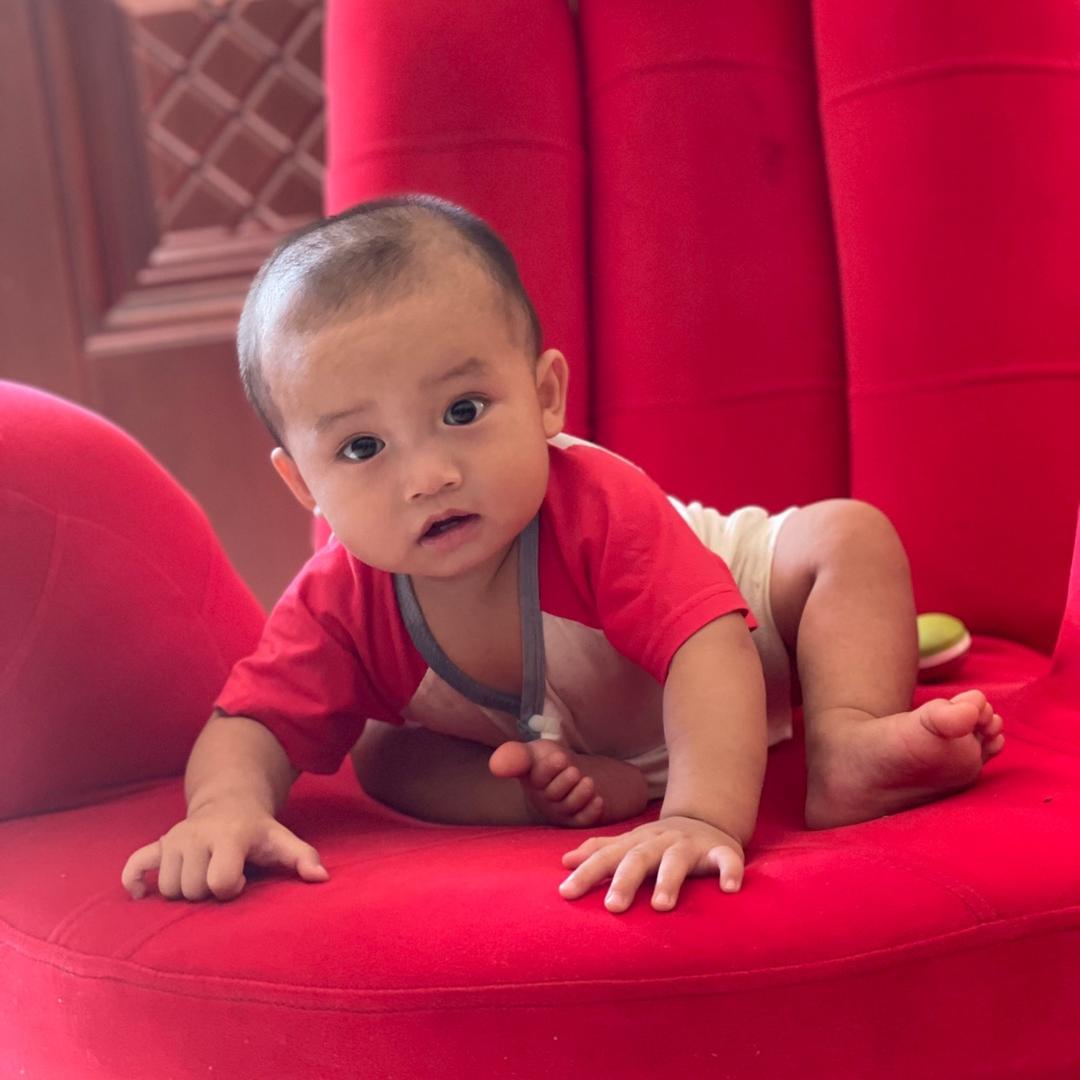 小萌牛