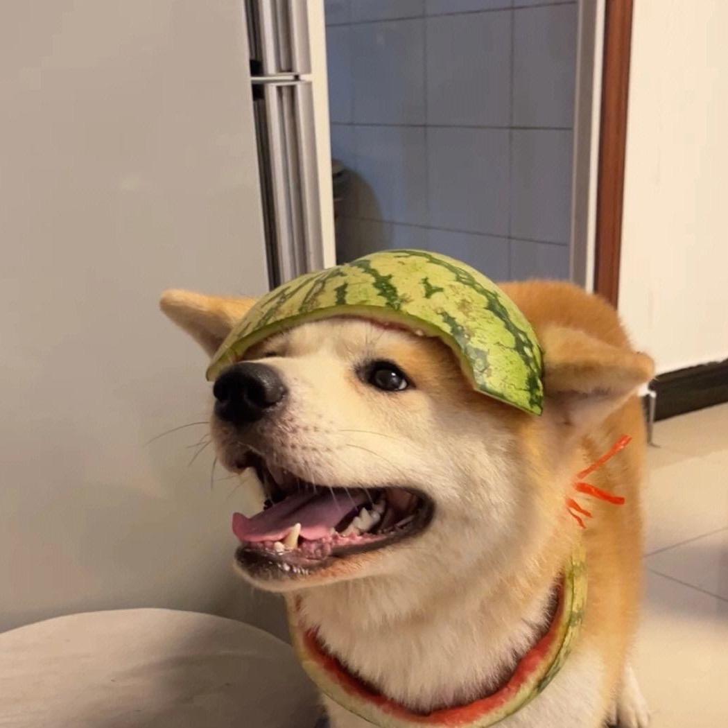 谷驰智能床