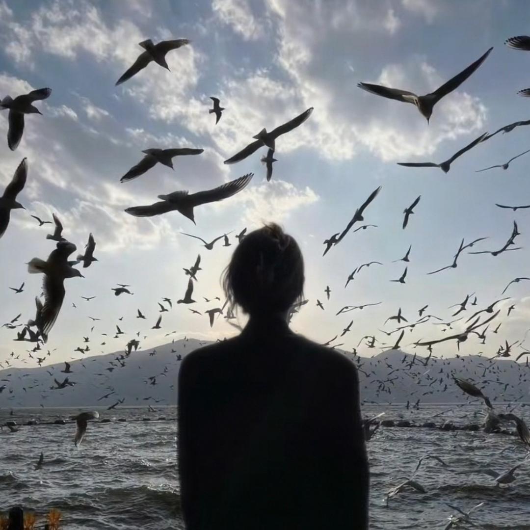 °eR初曦
