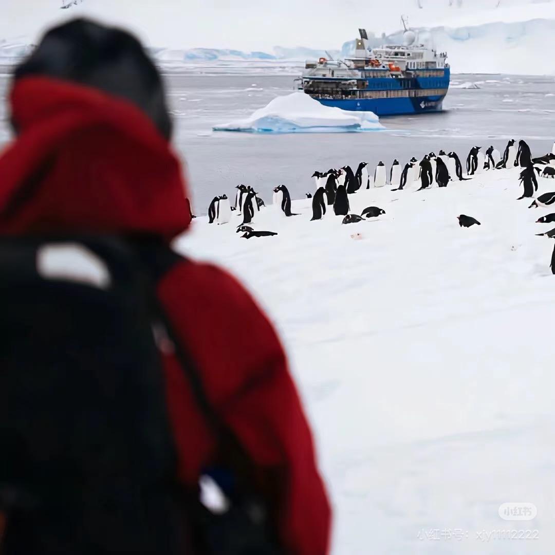 羊肉火锅绝缘体