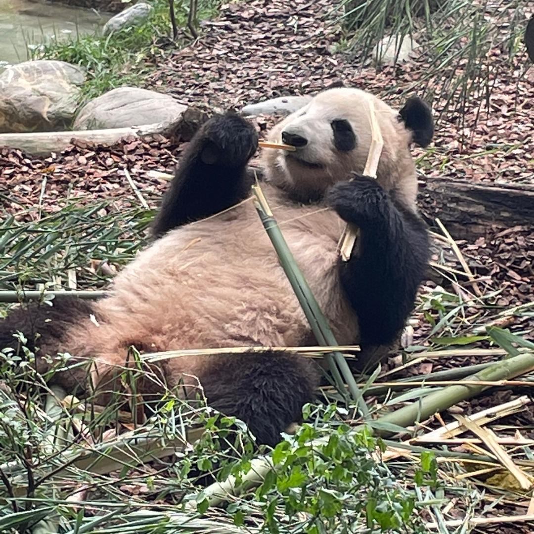 不想上班啊！