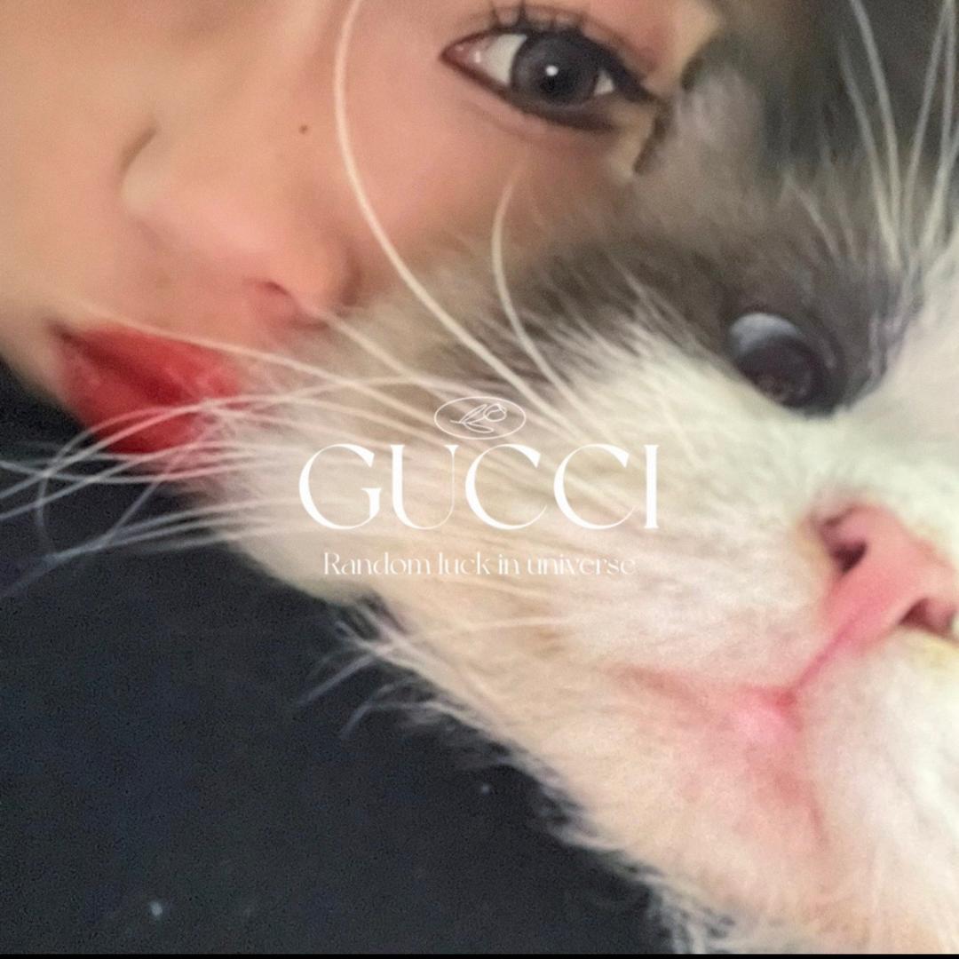 赵熳