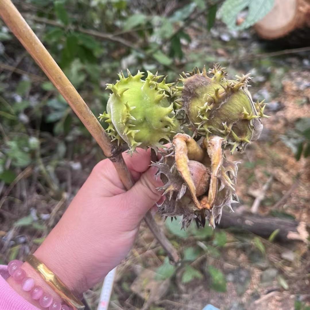 阳光宝贝母婴生活馆