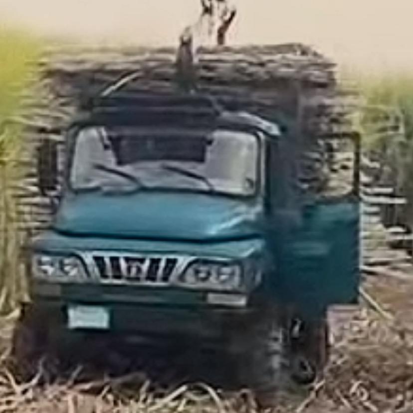 皆是人间惆怅客，岂有岁月可回头