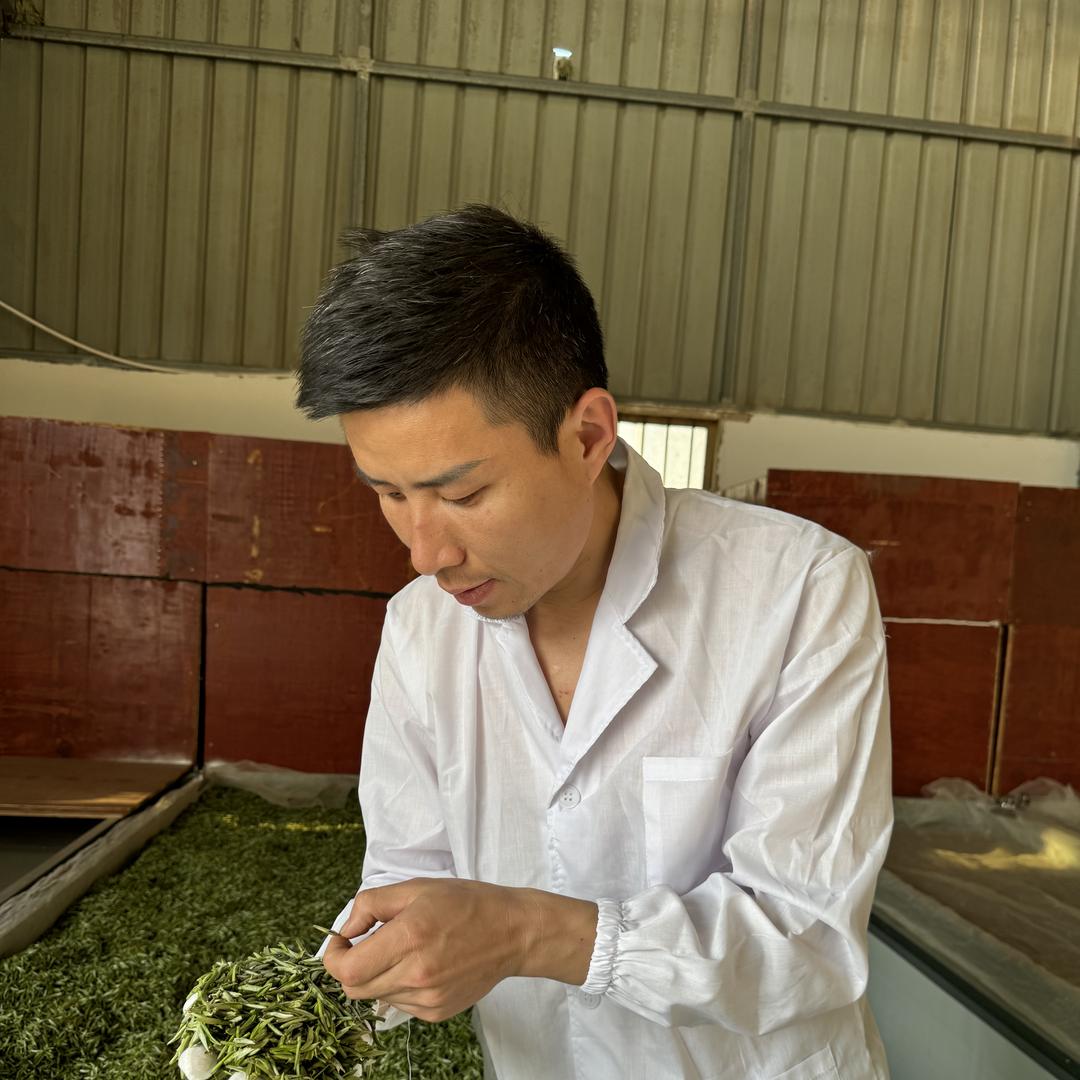 永刚家茶园