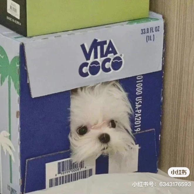 哇哈哈哈哈哈