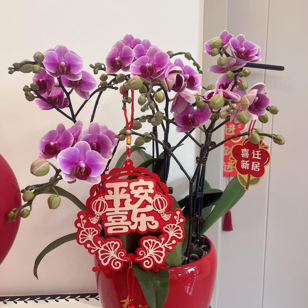 💗好运常在💋（勿连赞）