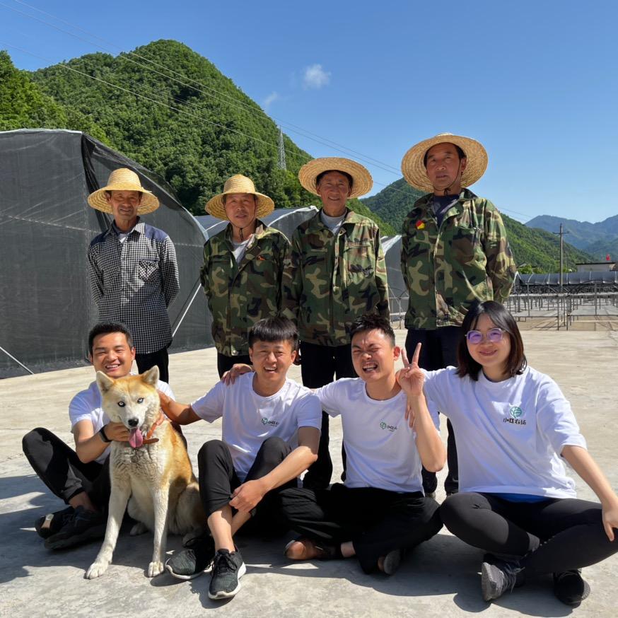 万山丛树柞水县木之光农业发展有限公司专卖店