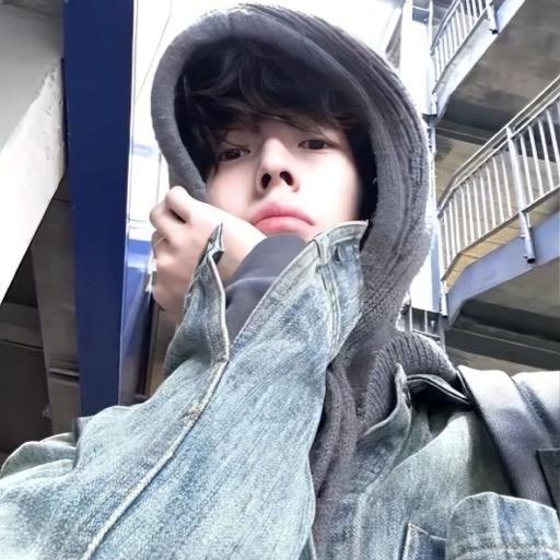 🐻
