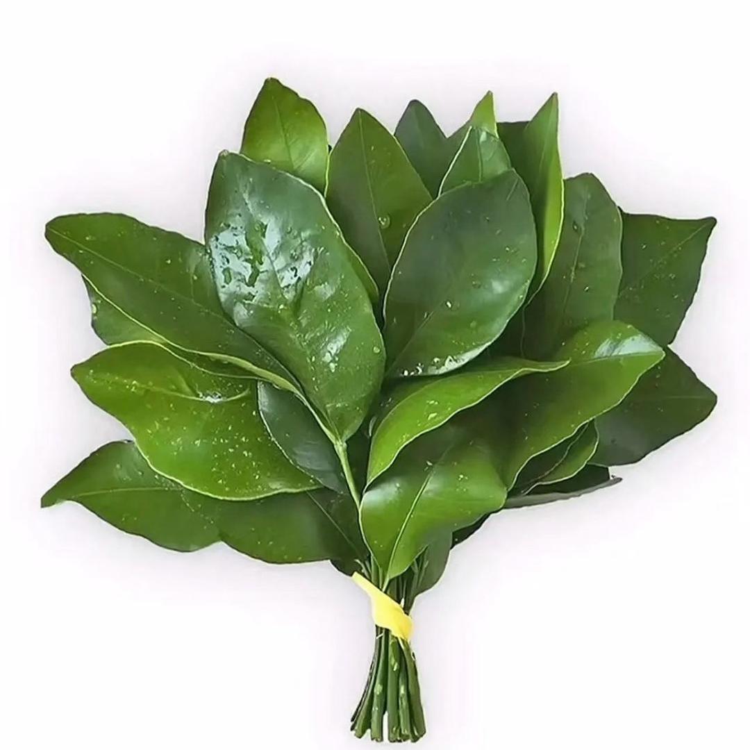 今天开心吗