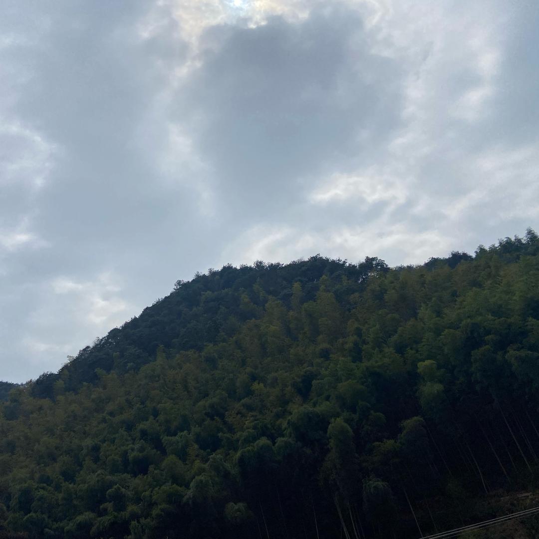 来吧来吧