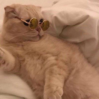 不发脾气只发财