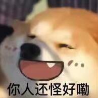 想想想想想