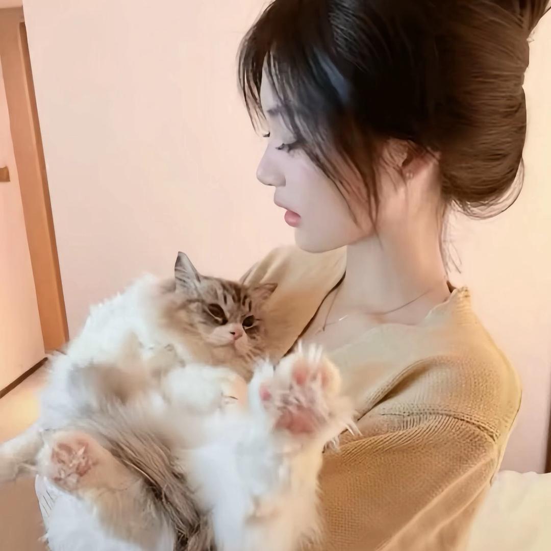 依依