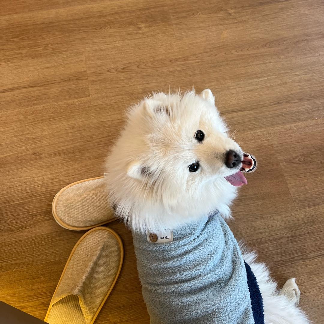 风一般的女子（三角洲摸红圣手）